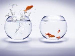 内容营销最佳实践：提升效率的实用技巧